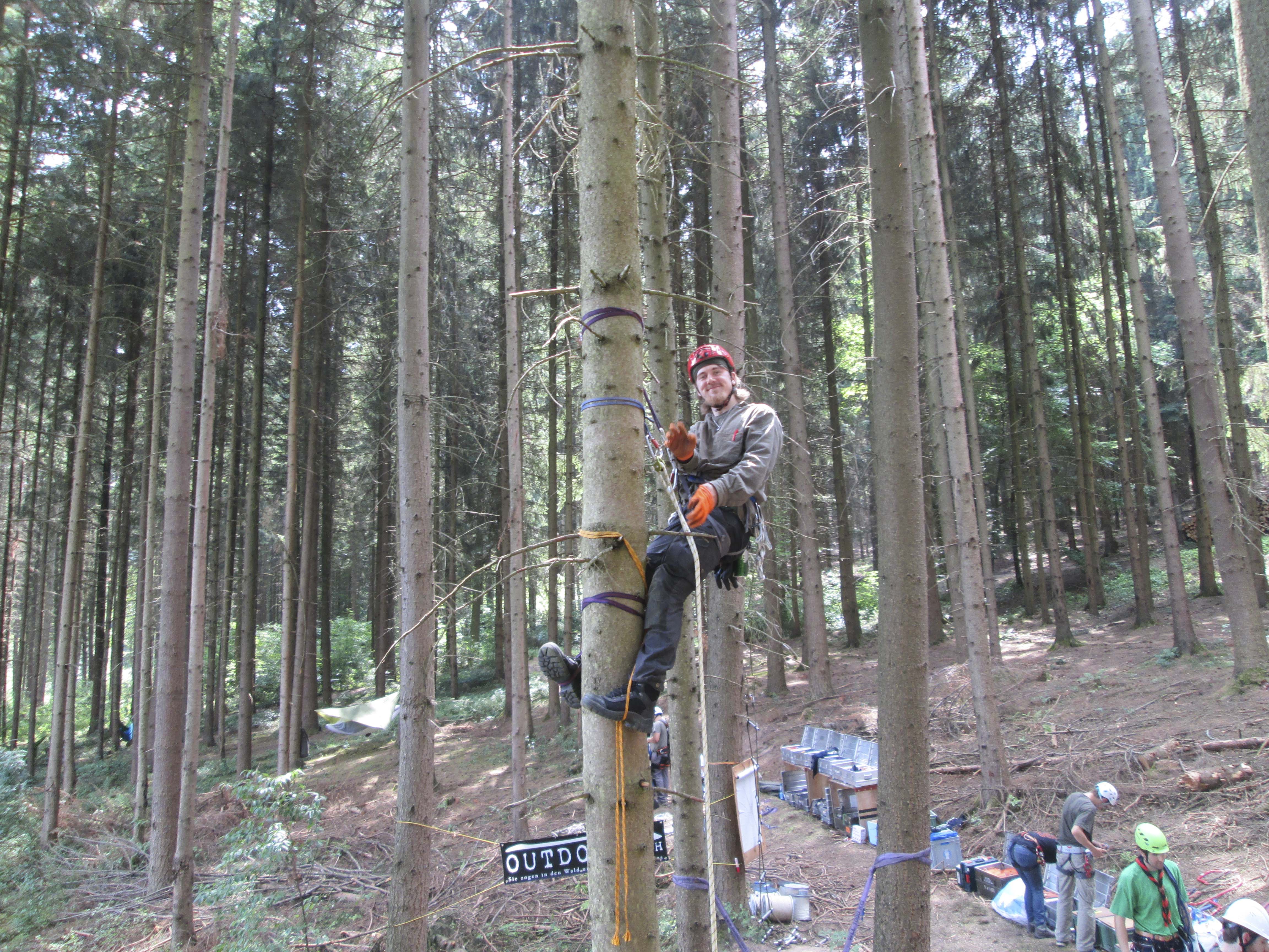 Mann hängt im Gurt an einem Baum