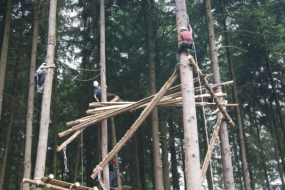 Mensch klettert an Baum