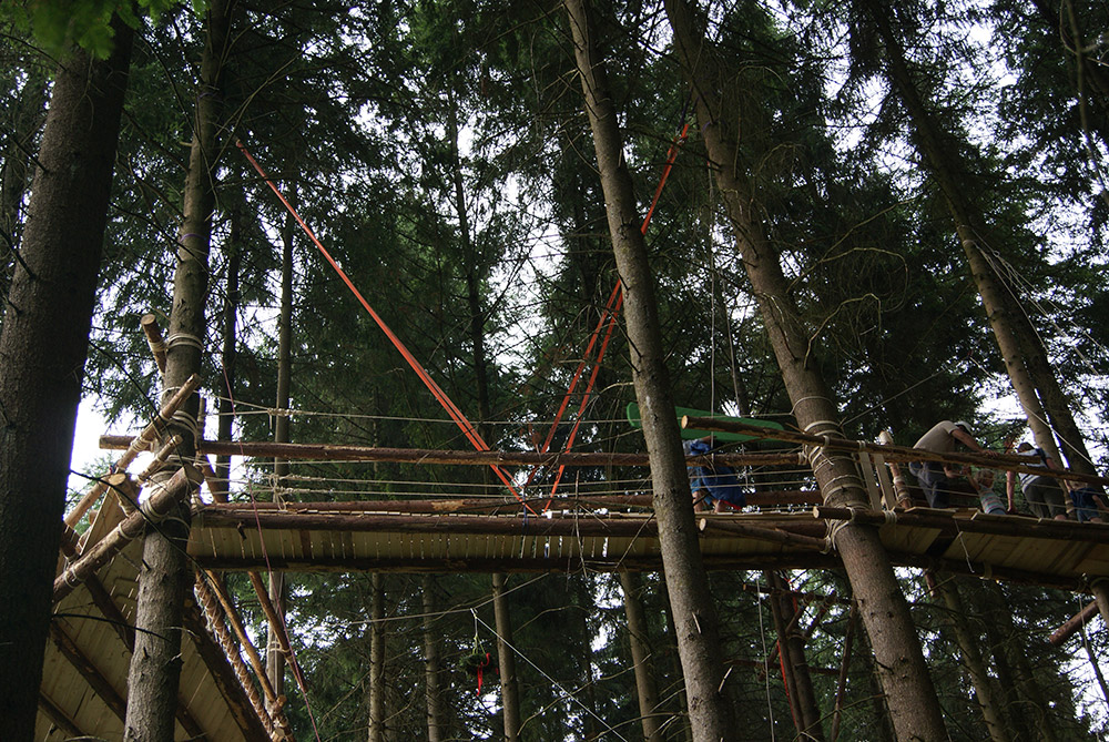 Brücke im Wald