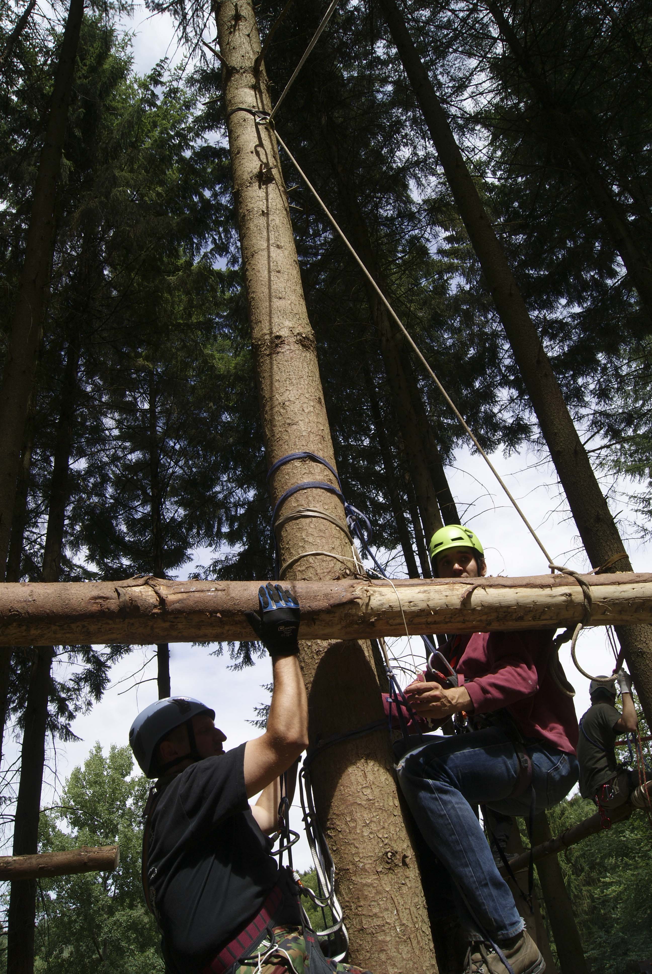 mittels Top-Rope-Rolle wird ein Balken nach Oben transportiert