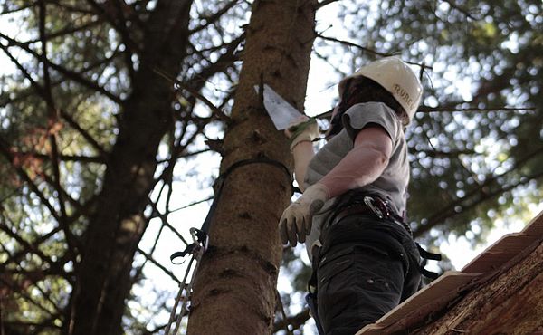 Eine Frau sägt ein Stück Ast vom Baum ab