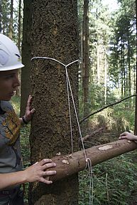 Frau hält vorfixierten Balken fest