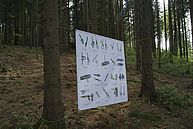 eine Infotafel zur Seiltechnik hängt mitten im Wald