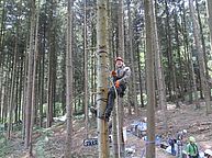 Mann hängt im Gurt an einem Baum