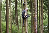 Mann hängt im Baum und schaut nach unten