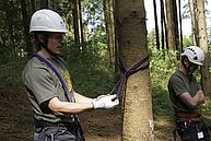 eine Person befestigt eine Bandschlinge am Baum