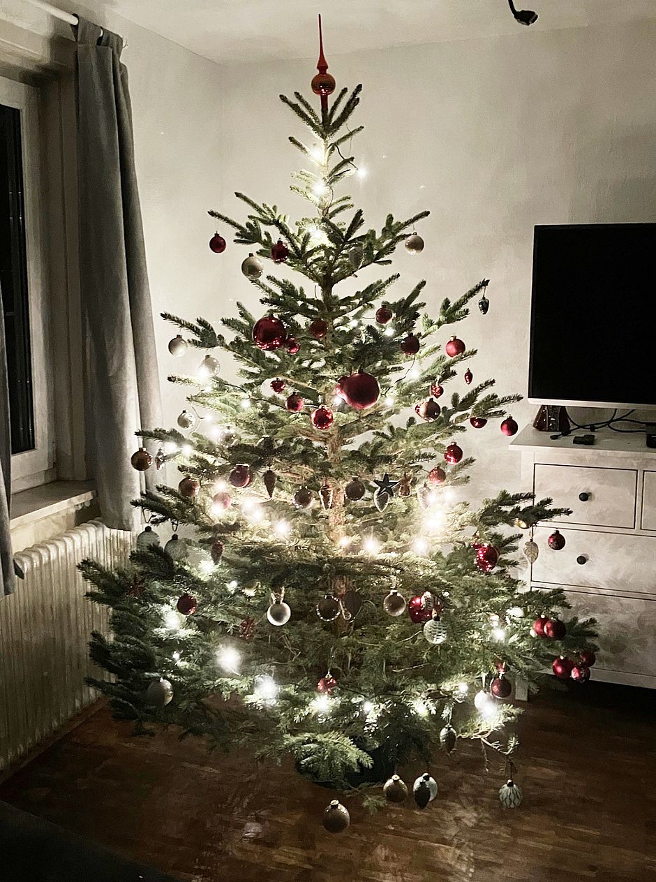 Von den Jugendlichen ausgesuchter, aufgestellter und geschmückter Weihnachtsbaum im Rahmen meines Praxisprojektes