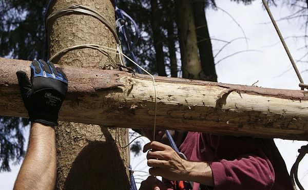 Balken wird von einer Person vorfixiert